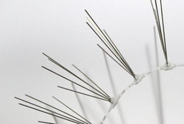 SBM Bird control Spikes SBM Bird control Spikes
